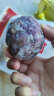 华田禾邦 低脂杂粮粘豆包 1.2kg 12个 四种口味 红豆紫米紫薯板栗 豆沙包 实拍图