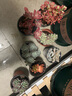两腿跑【送货上门】三八节多肉植物带盆桌面盆栽组合绿植花卉幼儿园盆栽 6盆多头(9cm原盆栽好) 实拍图