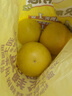 京鲜生 福建琯溪蜜柚 净重10斤 单果1.7斤起 源头直发【家庭分享装】 实拍图