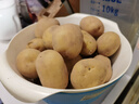 稀壤恩施小土豆高山黄心马铃薯新鲜蔬菜黄皮洋芋净重2.5kg 较大号2.5kg 实拍图