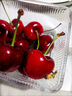 采缇智利进口车厘子5kg5斤可选生鲜樱桃次日达樱桃新鲜水果当季礼盒 1斤(净重) 泡沫箱+冰袋 3J 30mm(含)-32mm(不含) 实拍图