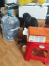 宠情 猫爬架大型猫树猫窝一体猫抓板剑麻实木猫抓柱跳台太空舱猫玩具 【五星级太空城】170cm 九层 实拍图