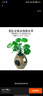绿林（GREENER）47件套筒扳手汽修工具箱套装棘轮摩托修车公路全套快速扭力螺丝 实拍图