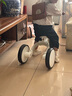 澳乐儿童三轮车手推车自行车多功能平衡车滑行车三合一奶咖生日礼物 实拍图