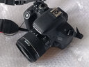 佳能/Canon 600D 700D 750D 760D 800D 850D二手单反相机新手学生入门旅游高清相机 800D+18-55 IS STM【套机】 99新 实拍图