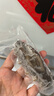 久年大连即食海参京东自营3斤装10-12头*3独立包装开袋即食 辽参海鲜 实拍图
