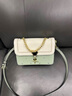 塔驰密司 新年包包品牌奢侈单肩斜挎包女士七夕情人节送女友老婆生日礼物 白绿色 实拍图