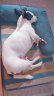维克（Virbac）猫咪营养膏克补软膏狗狗宠物营养补充剂术后能量速补美毛维生素 克补软膏120.5g 实拍图