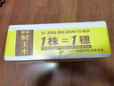 露茵黄糯玉米棒新鲜甜粘糯玉米非转基因真空包装早餐即食10条装 实拍图