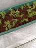 九千谷椰砖土营养土椰糠砖种植土花土椰糠脱盐养花通用型650g*3块3538 实拍图