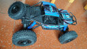 凯乐斯（KAILESI）蓝色48cm四驱超大高速越野攀爬玩具车模型电动男孩生日礼物 实拍图