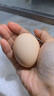 可生食鸡蛋含DHA无抗Omega-3 新鲜鸡蛋 早餐买菜无菌蛋京东包邮 1350g DHA鸡蛋30枚 实拍图