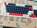首席玩家WK980机械键盘三模无线蓝牙有线混光98配列电竞游戏办公键盘 蓝白 茶轴 晒单实拍图