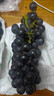 云南夏黑葡萄新鲜2024应当季无籽葡萄黑加仑提子孕妇水果整箱 5斤(单果10g+) 实拍图