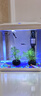 SICCE鱼缸懒人鱼缸家用客厅办公室金鱼缸中小型玻璃鱼缸过滤鱼缸 T-240F【240*165*280】 实拍图