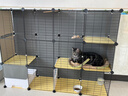 蔻丝猫笼子超大号猫窝别墅带厕所一体隔离适合幼猫大猫柜家用宠物猫笼 【3层1卫4室】加长款多猫可用 基础款【封闭猫砂盆带铲+爬梯】 实拍图