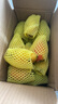 京鲜生海南高乐蜜芒果3斤装 单果350g+ 生鲜水果 源头直发 实拍图