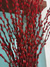 开时果 银柳鲜枝干花年宵花卉 红色真花福桶银柳水培植物室内装饰鲜花 【80cm】银柳50枝（喜庆红） 实拍图