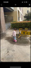 幸福玛丽（Cheerful Mario）儿童雨鞋男童雨靴水鞋2岁宝宝水鞋套鞋防滑女童幼儿防水女款胶鞋 实拍图