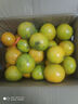 吉果叔 正宗广西茂谷柑 应当季新鲜水果薄皮脏脏柑橘石灰柑橘子整箱 净重4.5-5斤 【中果】果径60-65mm 实拍图