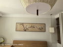 良木主卧老人卧室床头挂画新中式茶室装饰画客厅沙发背景墙壁画高级感 E-玉兰图-棕木框+布艺 43*153CM 实拍图
