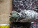 种花迷绯花玉仙人球盆栽四季开花好活净化空气吸甲醛桌摆办公室花卉绿植 玫红原盆原土 小球3-4厘米 实拍图