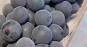 JDBMO葡萄巨峰葡萄新鲜【顺丰/JD多地次日达】乒乓球夏黑葡萄水果 5斤精品装 臻品果王【颗颗甄选|大串剪枝】 实拍图