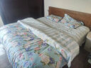 梦洁家纺 100%纯棉床上四件套 双人床品套件 全棉印花床单被套 1.8米床 泽西岛 实拍图