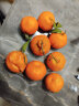 优仙果陕西阎良头茬甜瓜 香瓜新鲜水果生鲜整箱 2斤装约2-3枚 实拍图