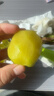 静益乐源黄心猕猴桃 金果奇异果 新鲜水果四川 10枚中果单果70-90g 实拍图
