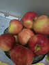 2025新果正宗大凉山丑苹果冰糖心盐源红富士当季孕妇新鲜水果生鲜 5斤 【中大果】75-80mm 实拍图