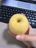 甜醉了 烟台苹果黄元帅粉面苹果黄金帅黄香蕉山东新鲜水果当季整箱鲜果 5斤75-80mm 实拍图