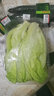 北菜园生菜有机散叶生菜250g有机蔬菜【进店多样加购】火锅食材 实拍图