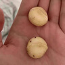 边塞楼兰云南夏威夷果坚果新货大颗粒奶油500g年货干果零食整箱礼盒 甄选3斤袋装出口级 实拍图
