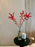 临雅北美冬青红果鲜花切枝鲜切花水培水养绿植室内年宵花卉真花好养活 【旗舰款】北美冬青-30cm5支+挂件 实拍图