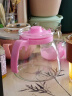 小皮鼠泡茶壶水壶花茶壶加厚水杯茶具耐用家用套装 一壶+2杯 晒单实拍图