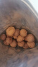 楼兰蜜语 薄皮大核桃500g/袋 新二核桃 每日坚果 新疆纸皮核桃仁 休闲零食 实拍图
