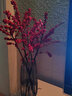 临雅北美冬青红果鲜花切枝鲜切花水培水养绿植室内年宵花卉真花好养活 【旗舰款】北美冬青-60cm5支+挂件 实拍图