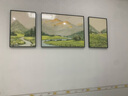 瑞尚（RUISHANG） 北欧客厅装饰画轻奢沙发背景墙挂画简约墙上壁画餐厅玄关墙画 福禄花语 左右40*60+中间80*60晶瓷面黑框 实拍图