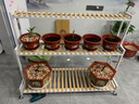 哈骆顿（HALODN）花架阳台花架置物架客厅花盆架室内花架子户外阳台多层落地式盆景 带滚轮3层花架白（120*40*104） 【层高可调】 实拍图
