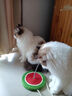 加仕高猫玩具逗猫自嗨猫薄荷球幼猫成猫咪磨牙棒玩具木天蓼猫薄荷球 实拍图