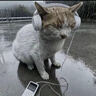纽曼BT55 电脑音响音箱 家用桌面重低音炮迷你有源音箱多媒体台式机笔记本电脑USB有线小音响 经典白 实拍图