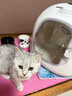 勒驰智能恒温宠物烘干箱猫咪狗狗洗澡烘干机英短布偶比熊吹水防感冒 新款 头等舱【特大风力】白 实拍图