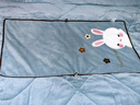 南极人加厚折叠抱枕被子两用珊瑚绒空调毯子午睡办公室汽车载枕头二合一 刺绣小兔-天蓝（双面牛奶绒） 折叠50*50CM展开被子145*190CM 实拍图