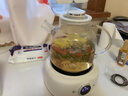 小浣熊LOTOR养生壶1L全玻璃家用多功能烧水煮茶小型迷你办公室煮花茶壶 白色 1L 实拍图