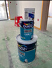 多乐士（Dulux）全能卫士无添加底漆 内墙乳胶漆 防霉油漆涂料墙面底漆A914-65660 5L单桶 实拍图