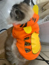 憨憨宠 狗狗衣服 猫衣服宠物衣服变身装猫咪衣服中小型犬幼犬秋冬服装 小老虎款 XL号建议体重10-18斤 实拍图