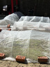 时光旧巷小拱棚支架杆蔬菜拱棚骨架育苗菜棚花棚玻璃纤维杆弹力棒农用大棚 6毫米粗3米长【20根】 实拍图