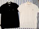 LACOSTE法国鳄鱼男装经典商务休闲纯色翻领Polo衫|PH7937 001/白色 M 4 实拍图
