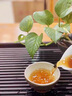 醉茗山大红袍茶叶高山乌龙茶高山岩茶浓香型陈香岩茶岩骨花香小罐装250g 【武夷岩茶】陈香大红袍罐装 实拍图